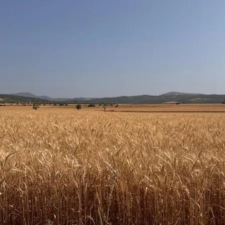 Casa Vitorianet Country house